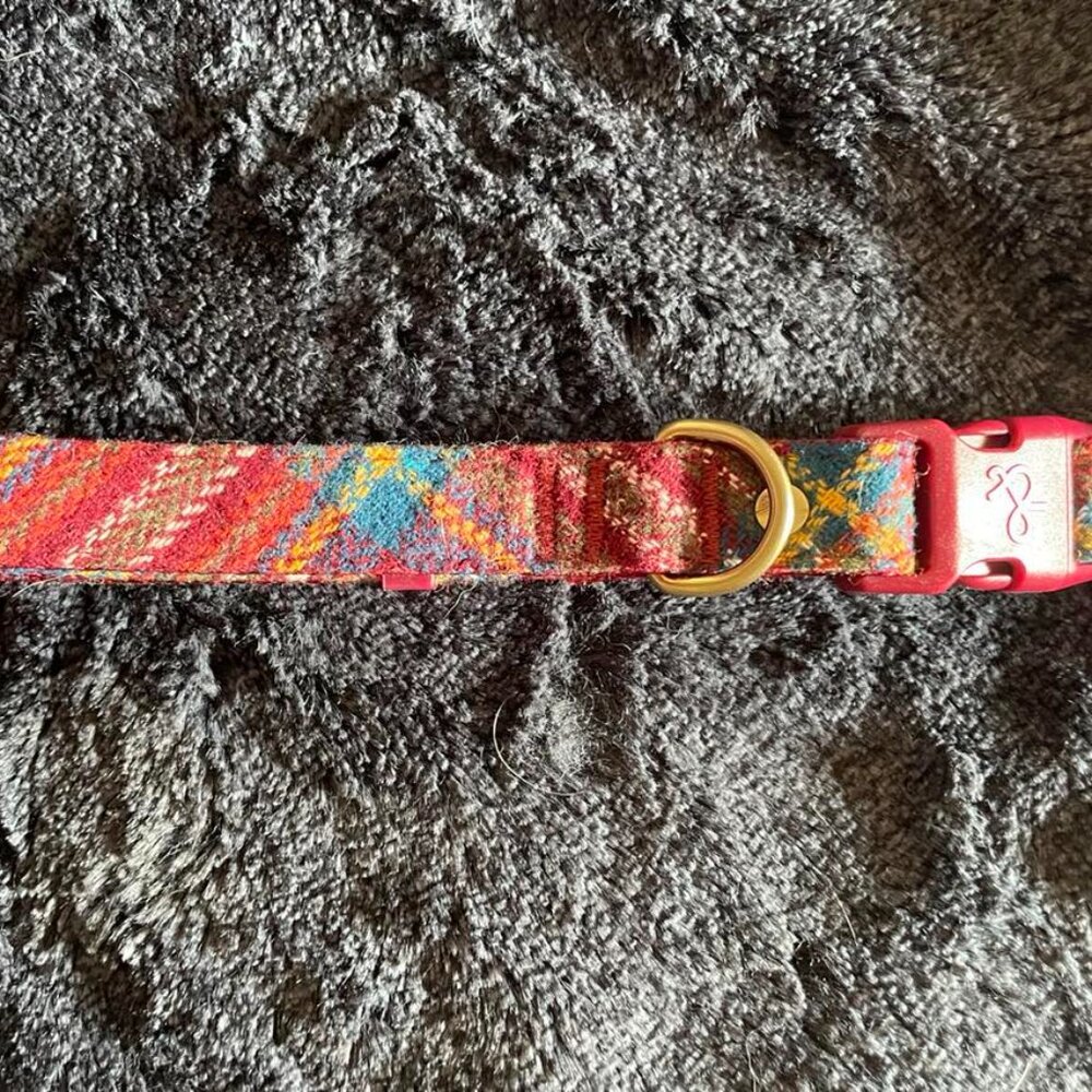 Dog Collar: Adjustable Print, 14-18”